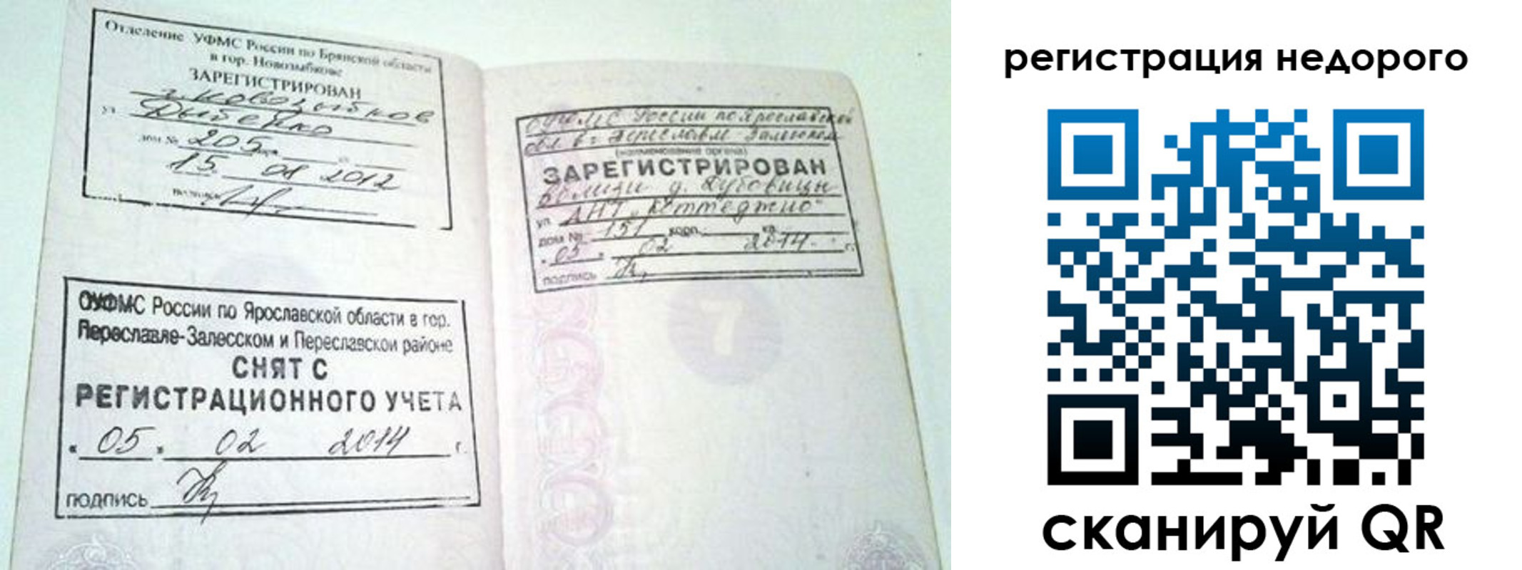 прописка поиск в Приморском крае